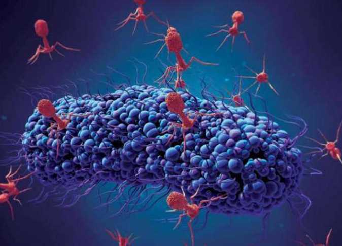 علاج المستقبل في ظل المقاومة المتزايدة للمضادات الحيوية فما هو؟