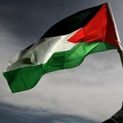 خارجية فلسطين: سنرفع جريمة قتل “سليمة” إلى “الجنائية الدولية”