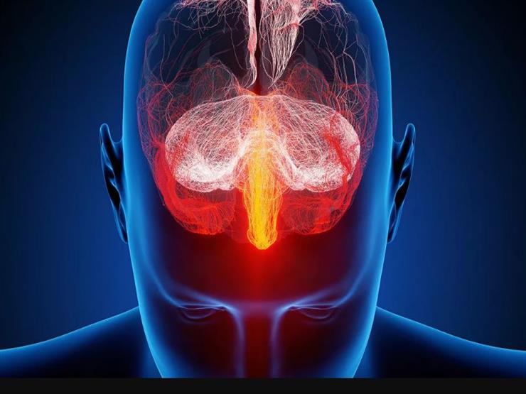 أطعمة شائعة تدمر الذاكرة والتركيز وتسبب الخرف!!