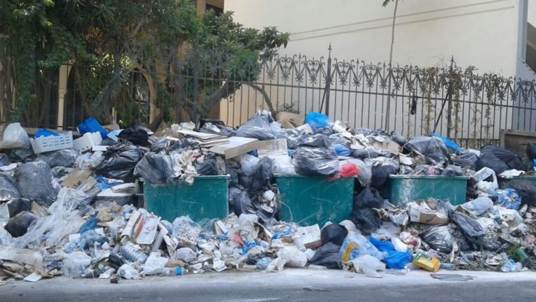 المصلحة الزراعية في رياق: النفايات قنبلة جرثومية يجب إزالتها