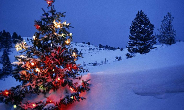 كيف سيكون طقس الميلاد؟