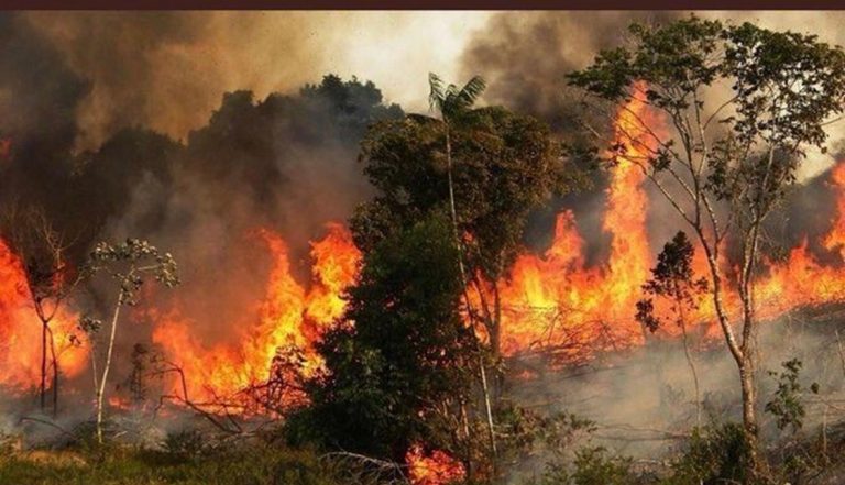 حرائق تلتهم آلاف هكتارات الغابات في الأرجنتين