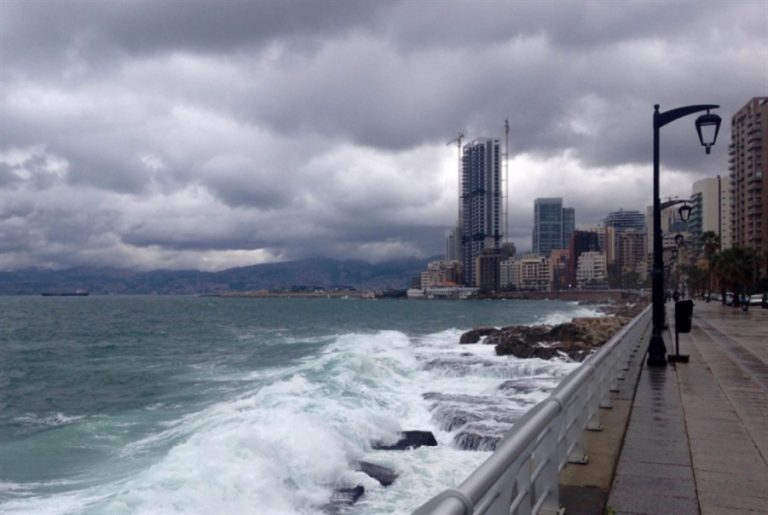 العاصفة تشتدّ.. وتطاير اللوحات والأشجار بسبب سرعة الرياح!