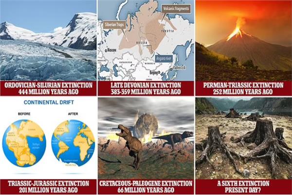 العالم يدخل مرحلة الانقراض الجماعي السادس؟!