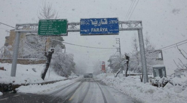 بالفيديو.. وصلت “هبة”…