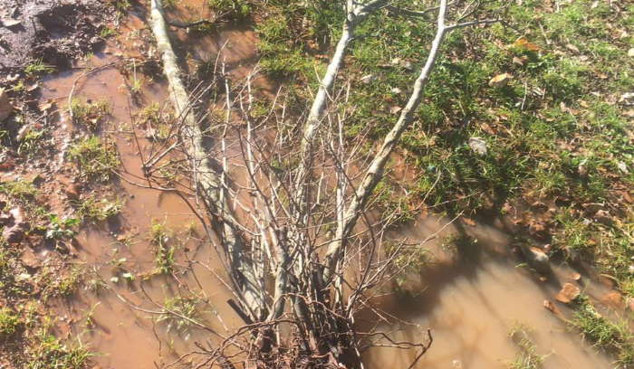 انفجار قنبلة عنقودية بأحد الاشخاص في وادي الحجير