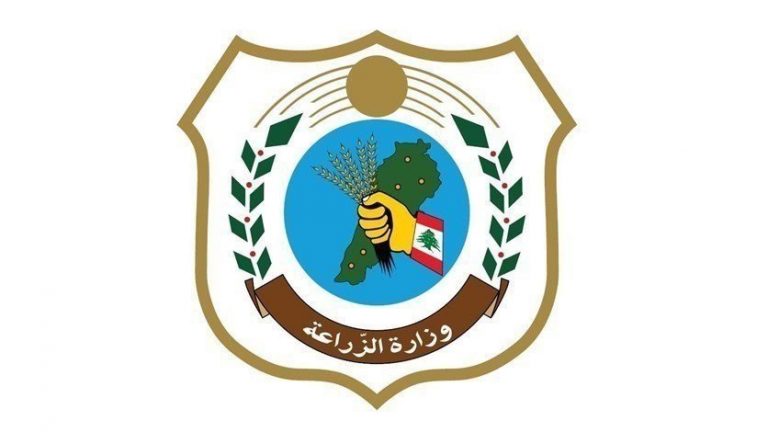 “الزراعة” صادرت بيك آب محمّلًا بالحطب المقطوع بطريقة غير شرعية (صورة)