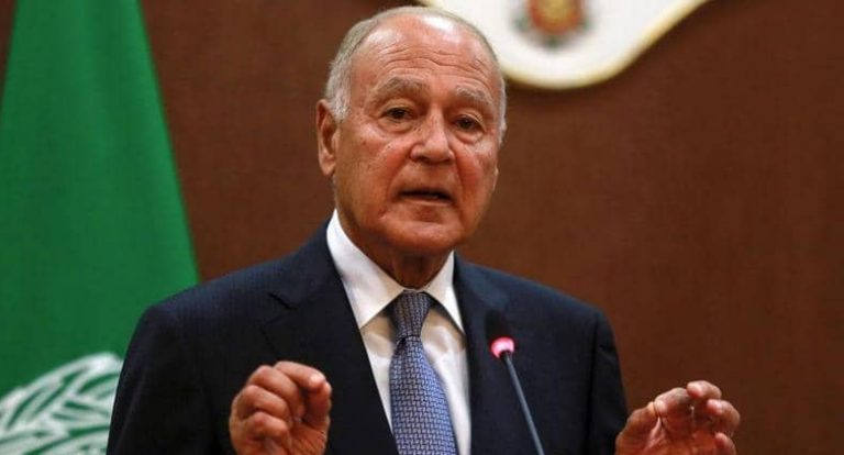 أبو الغيط: نأسف لاعتزال الحريرى الحياة السياسية