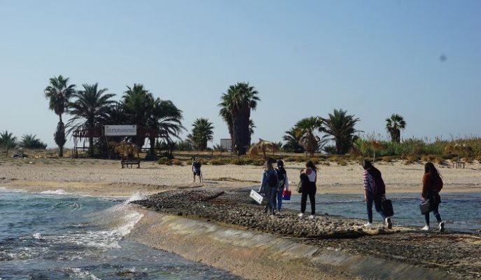 دراسة: “مستويات عالية من التلوّث” تهدد جزر النخيل