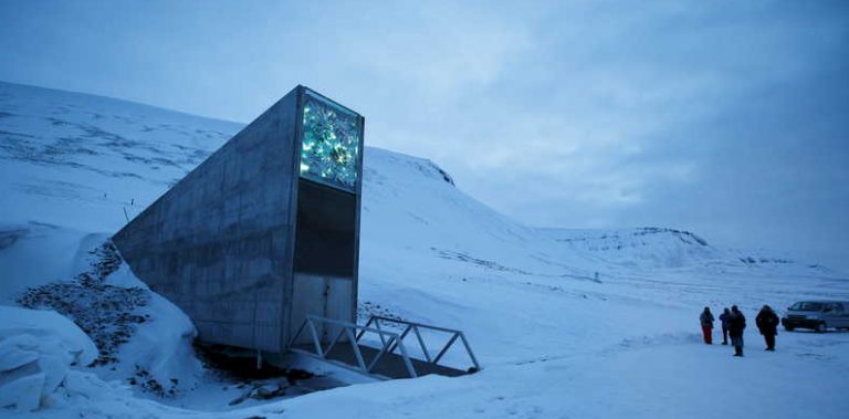 بذور جديدة من لبنان والسودان إلى “خزنة يوم القيامة”!