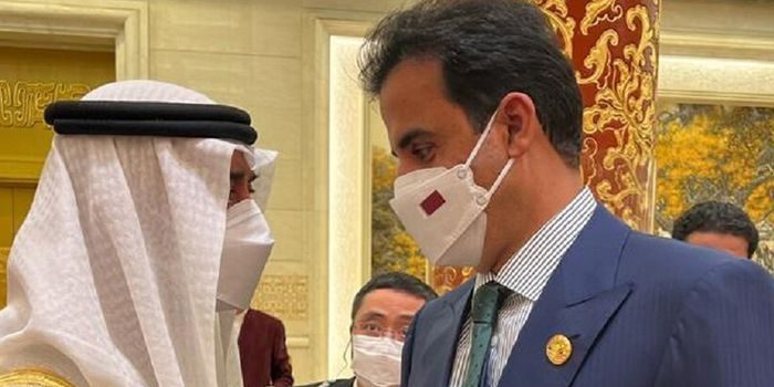 أمير قطر التقى بن زايد لأول مرة منذ الأزمة الخليجية