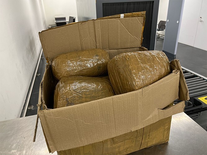 ضبط 22 كغ من الماريجوانا في الكويت