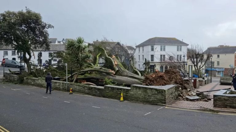 بالفيديو: مشاهد مروعة لأكثر من 100 سيارة بسبب العاصفة “يونيس”!