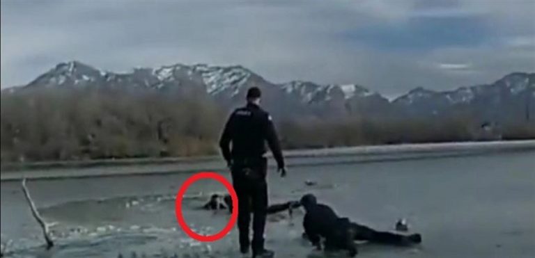 بالفيديو: حاولوا إنقاذ مراهق فحدث ما لم يكن متوقعا!