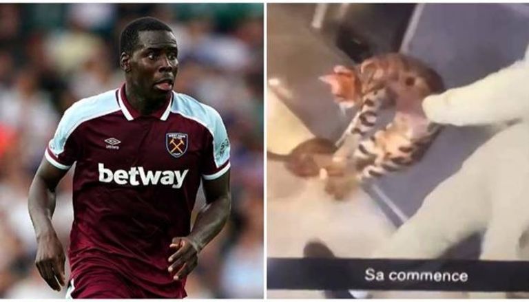 بالفيديو: زوما في ورطة.. عقوبات بالجملة بسبب فيديو القطة!