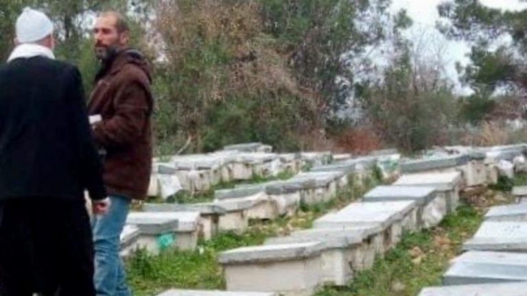 مجزرة بيئية: تسميم أكثر من 200 قفير نحل