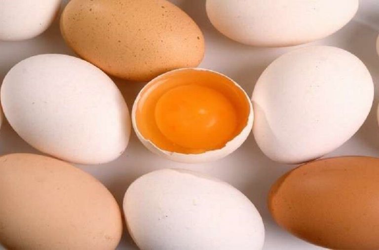 نصائح لطهي البيض بطرق تجنبك الأمراض