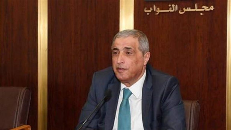 هاشم: الانتخابات محطة لتأكيد الهوية المقاومة للمنطقة