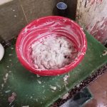 بلدية بيروت 10