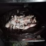 بلدية بيروت3