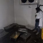 بلدية بيروت5