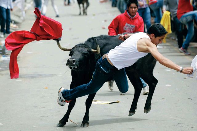 بالفيديو: رجل يلقي بنفسه أمام ثور هائج لإنقاذ نجله!