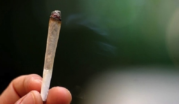 الجمارك: ضبط حشيشة معدة للتصدير من مرفأ بيروت الى مصر