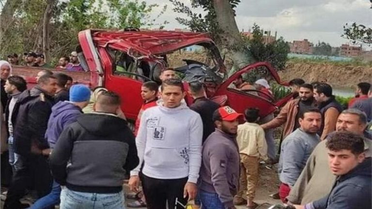 مصرع أربعة أشخاص إثر سقوط شجرة معمّرة في مصر