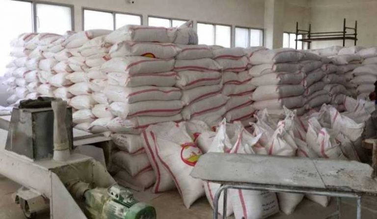 رئيس تجمع المطاحن: لا داعي للهلع