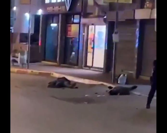 بالفيديو: قتلى وجرحى من شرطة العدو في عملية دهس واطلاق نار في الخضيرة