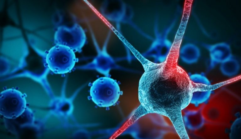 فيروسات تزيد خطر الإصابة بالسرطان