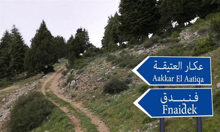 بلدية فنيدق: عصابة تقطع الأشجار.. وسيتم اقفال الطرق!