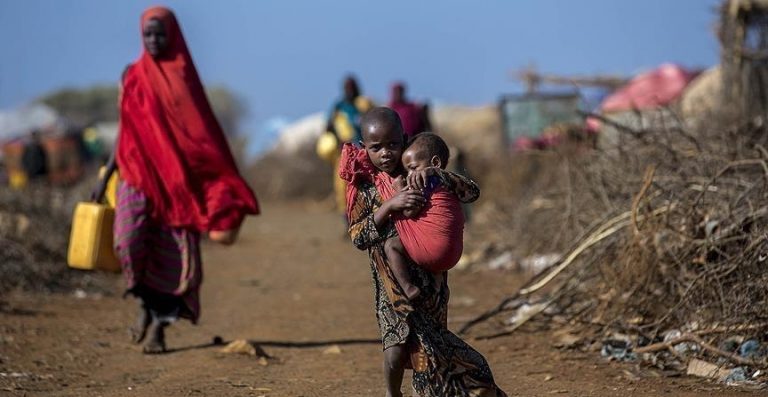 “الفاو”: نحو 7.8-8.8% من سكان الكوكب يعانون المجاعة