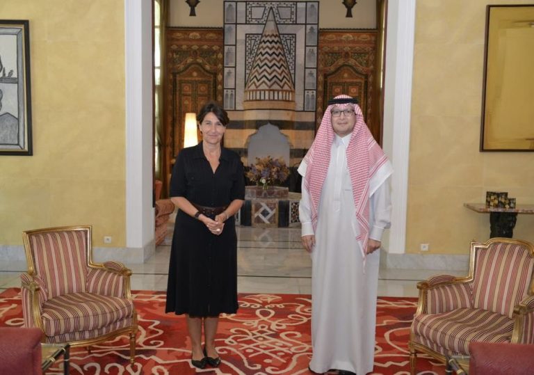 البخاري: لقائي مع السفيرة الفرنسية في لبنان هام ومثمر