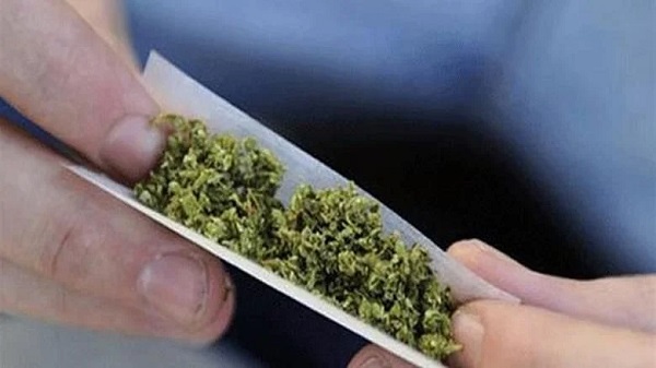 بالصور: ضبط 975 كلغ من الحشيشة متجهة من بيروت الى الخارج!