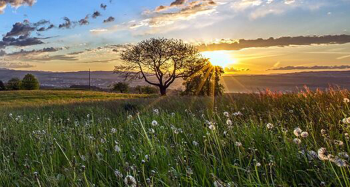 هذا هو طقس الأيام المقبلة