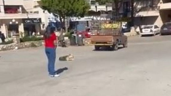 بالفيديو: قتلت كلباً بطريقة وحشية في البقاع الغربي!