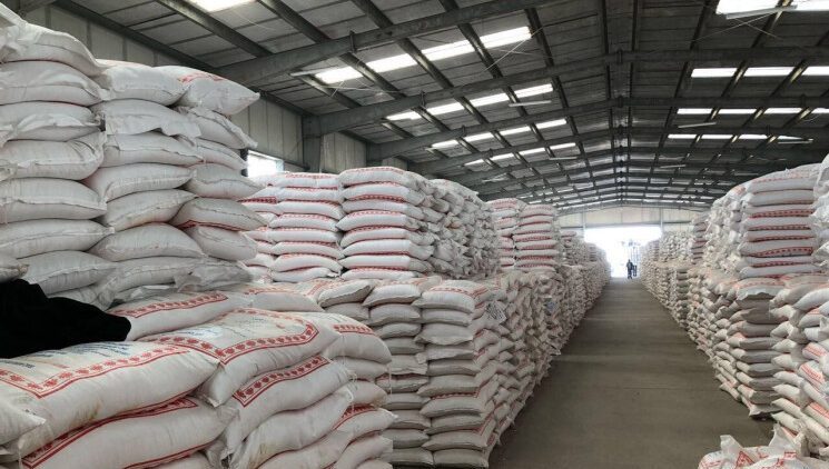 وكيل المطاحن في الجنوب: سنستورد الطحين من أي دولة