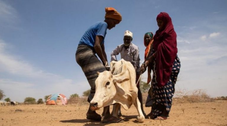 أزمة الجفاف تتفاقم في “القرن الأفريقي”.. والملايين في خطر
