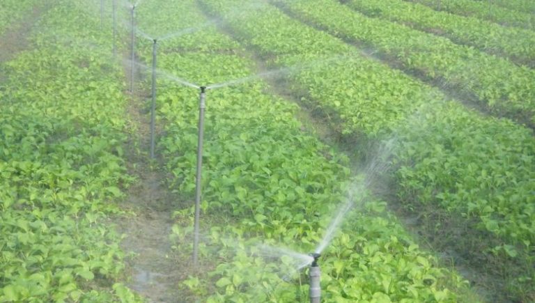 مصلحة الليطاني: قطع مياه الري عن المشتركين ليومين