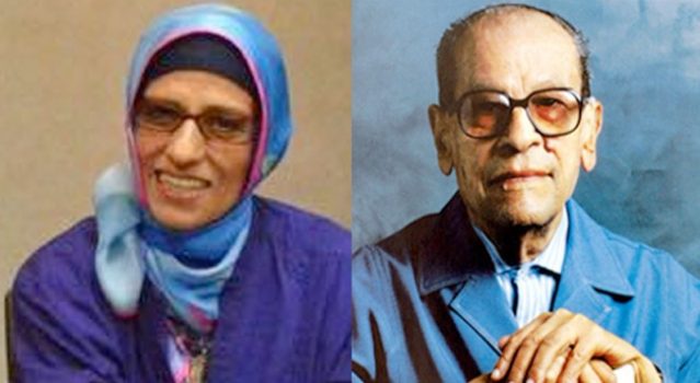 ما سبب الهجوم الذي شنته هدى محفوظ على أحمد حلمي؟