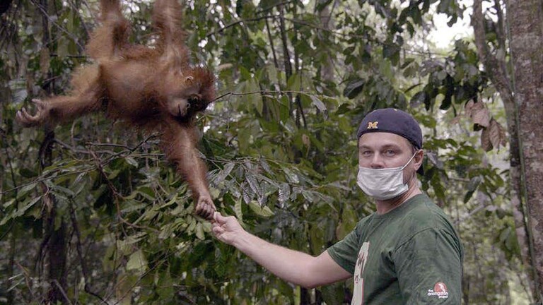 الرئيس البرازيلي: على دي كابريو أن يغلق فمه!