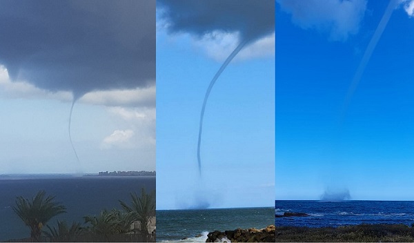 بالفيديو: “تنين البحر” في طرابلس!