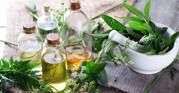 الأعشاب الطبيعية