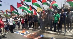 مسيرة أعلام فلسطينية في صيدا