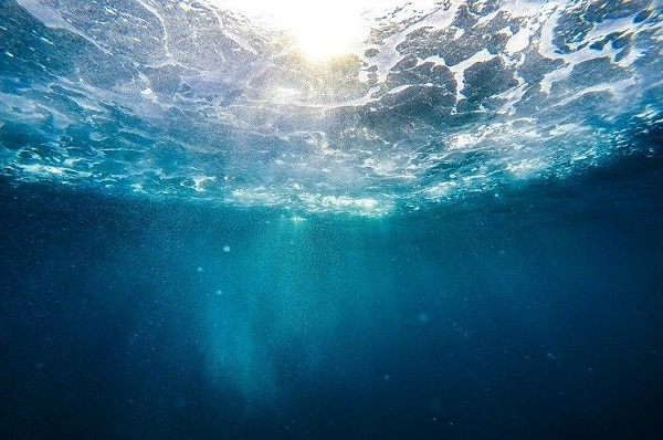 بالفيديو: اكتشاف غريب في قاع المحيط الهادئ!