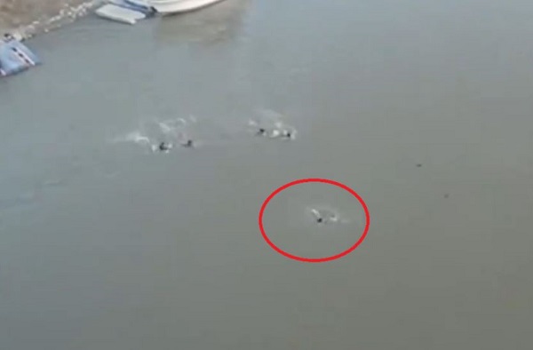 بالفيديو: لحظة إنقاذ فتاة حاولت الانتحار من أعلى جسر