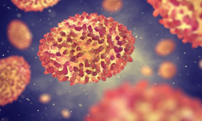 جدري القرود في مصر.. ووزارة الصحة تتحرك