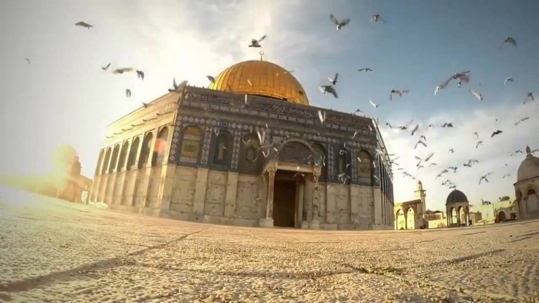 بالفيديو: مجموعة من المستوطنين تغني بطريقة استفزازية أمام أبواب الأقصى!