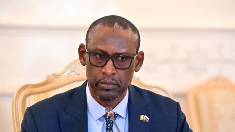 وزير خارجية مالي يشيد بتعاون بلاده مع روسيا